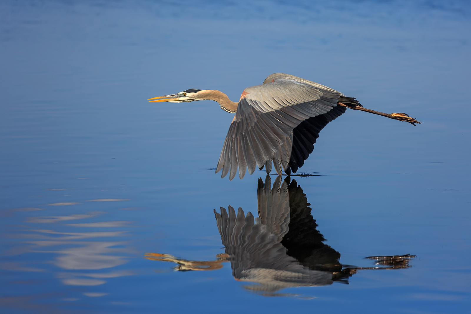 Mirror Flyby 